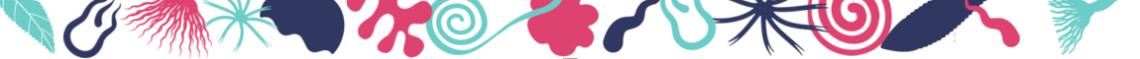 deco du site